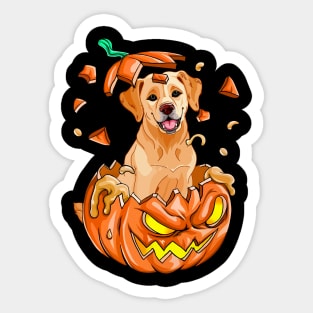 Golden Retriever In The Pumpkin tshirt halloween costume funny gift t-shirt Sticker